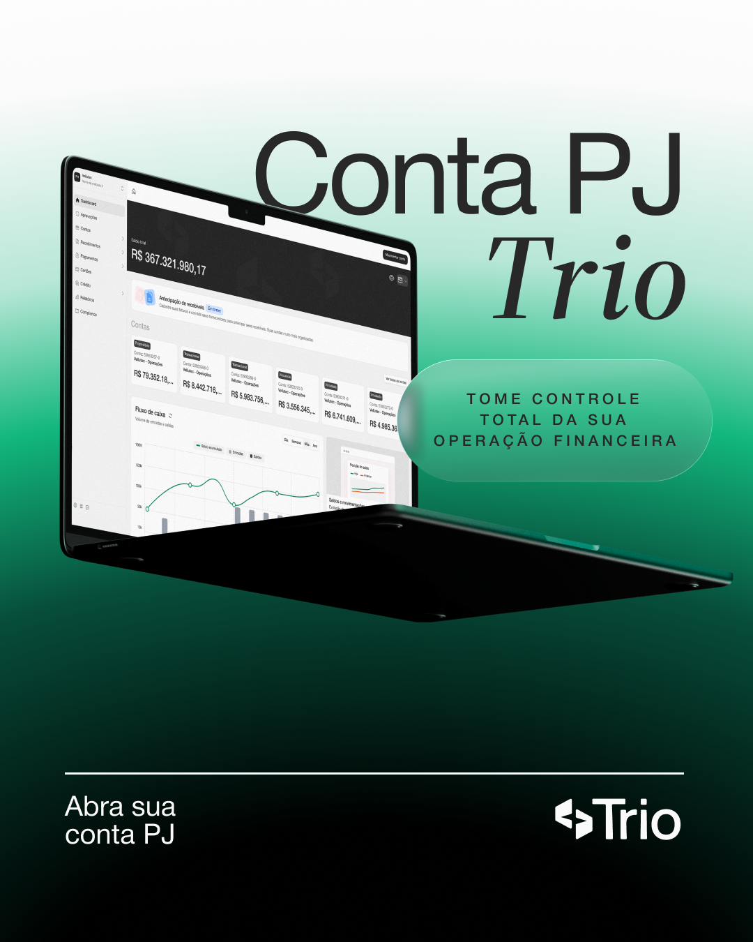 Pessoa analisando dashboard financeiro no notebook